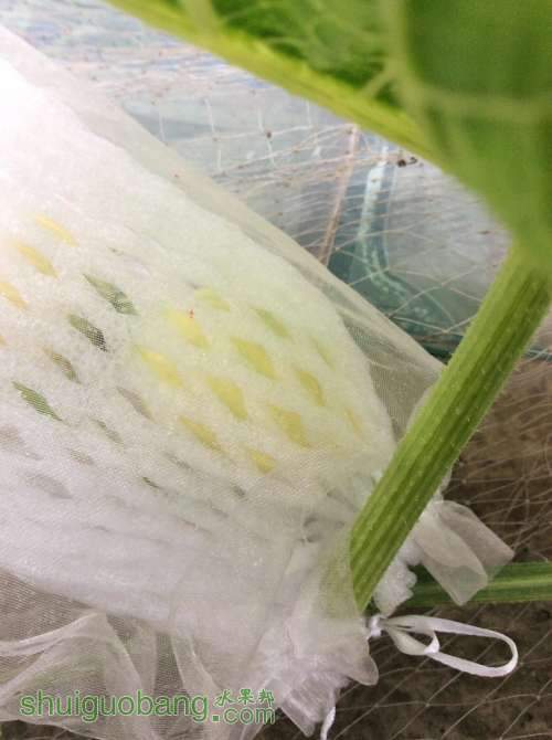 2014-04-16 181350.jpg