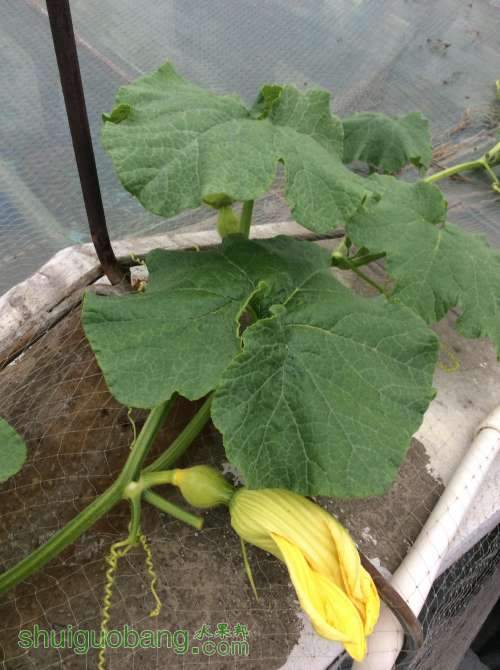 2014-04-16 181357.jpg