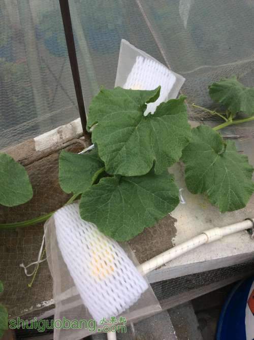 2014-04-16 181617.jpg