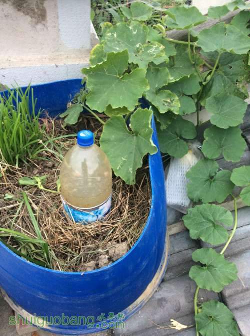 2014-04-16 181643.jpg