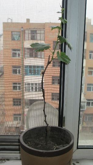 QQͼƬ20140417174645.jpg