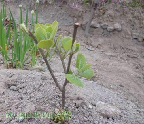 QQͼƬ20140417190551.jpg
