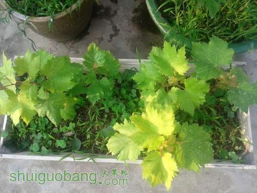 20140417_172157.jpg