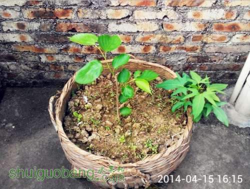 QQͼƬ20140416193110.jpg