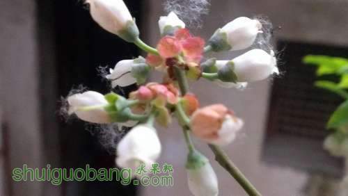 IMAG0296.jpg