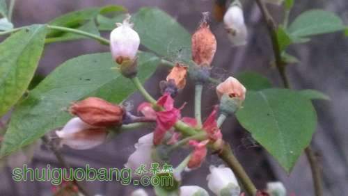 IMAG0303.jpg