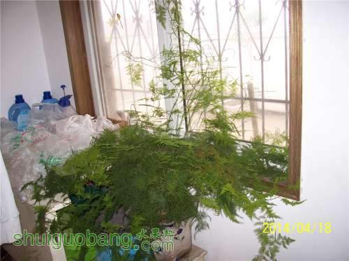 20140418 016.jpg