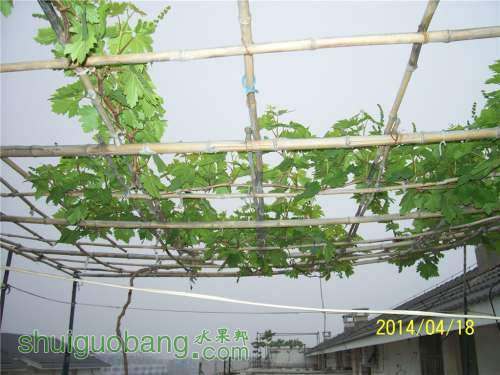 20140418 020.jpg