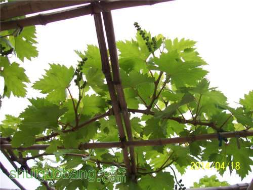 20140418 023.jpg