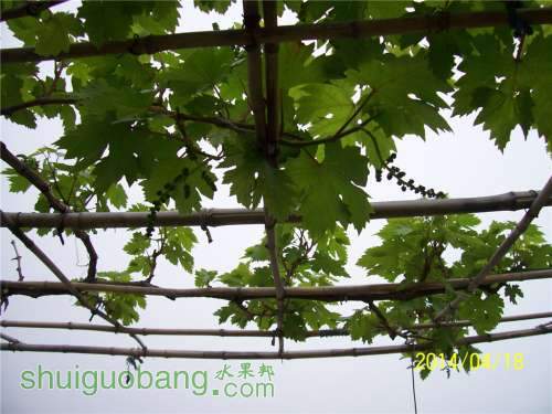 20140418 024.jpg