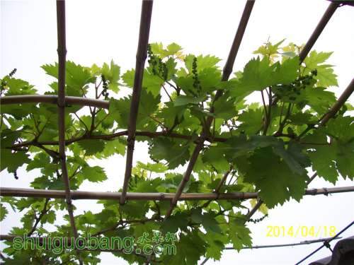 20140418 025.jpg