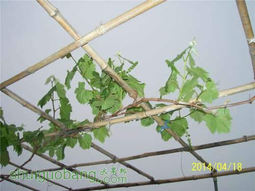 20140418 031.jpg