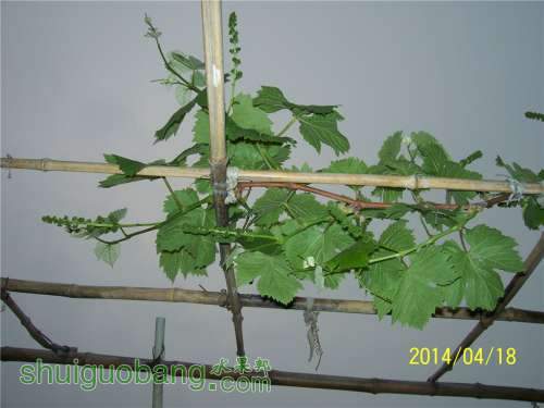 20140418 037.jpg
