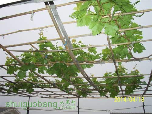 20140418 046.jpg