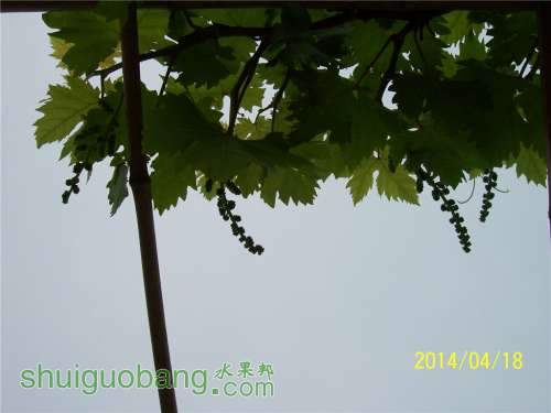 20140418 068.jpg