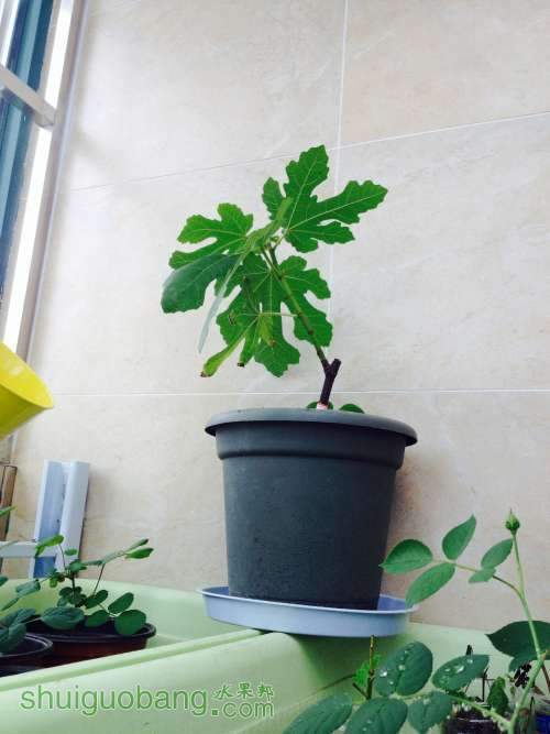 ���ݺ�.jpg