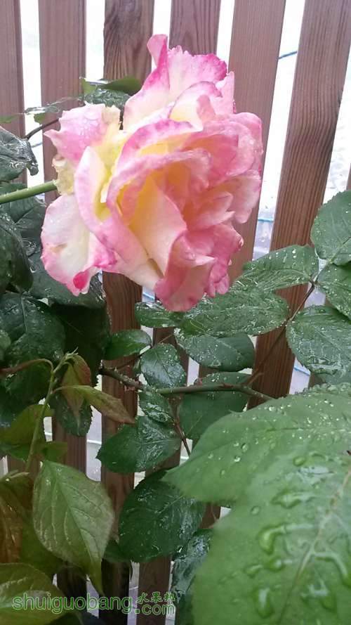 20140419_165431.jpg