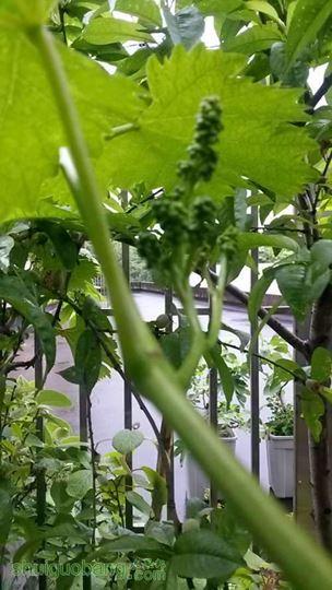 20140419_165918.jpg