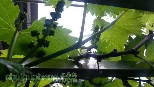20140419_170039.jpg