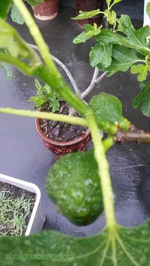 20140419_170736.jpg