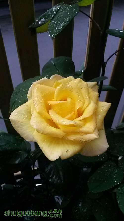 20140419_171437.jpg