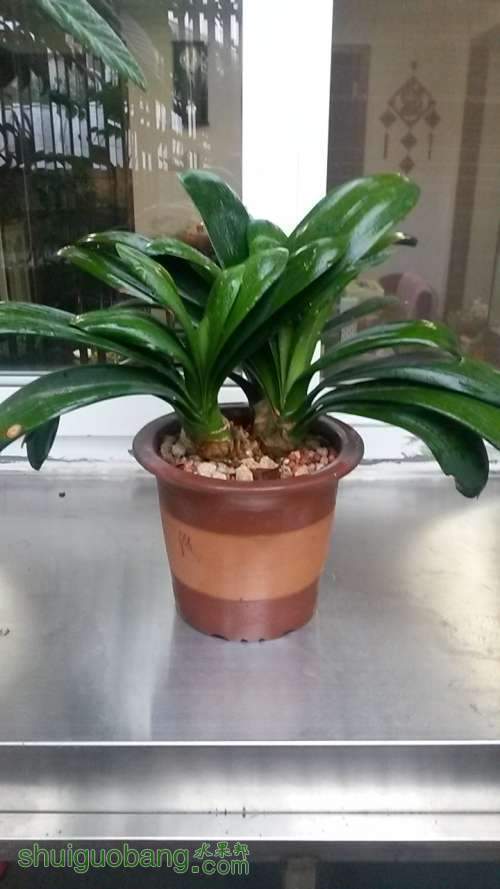 20140419_171852.jpg