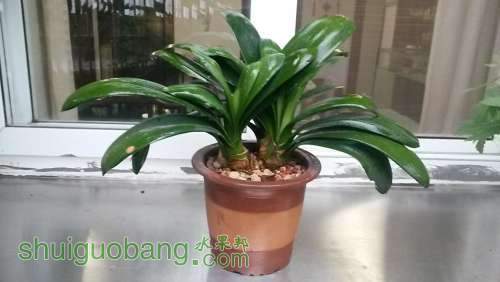 20140419_171916.jpg