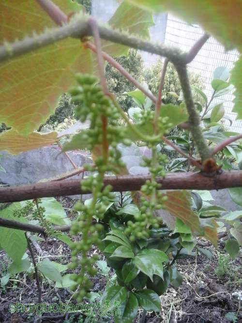 20140417_173954.jpg