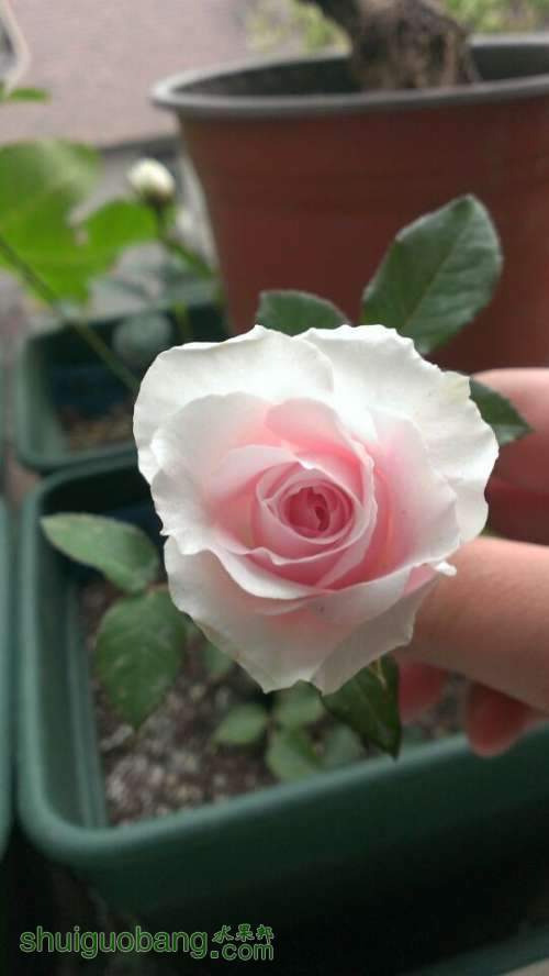 QQͼƬ20140419214206.jpg