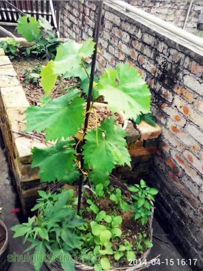 QQͼƬ20140416193438.jpg