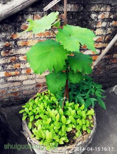 QQͼƬ20140416193353.jpg