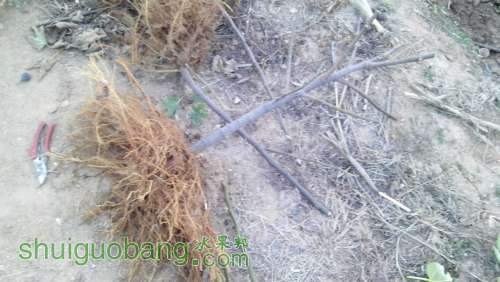 QQͼƬ20131019034012.jpg