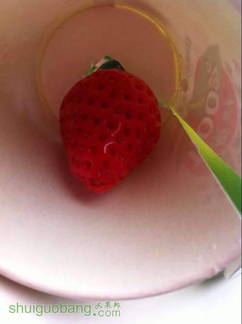 image.jpg