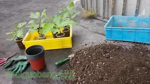 20140420_120257.jpg