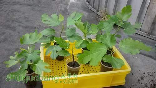 20140420_120321.jpg