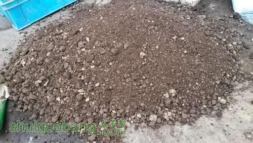 20140420_120353.jpg