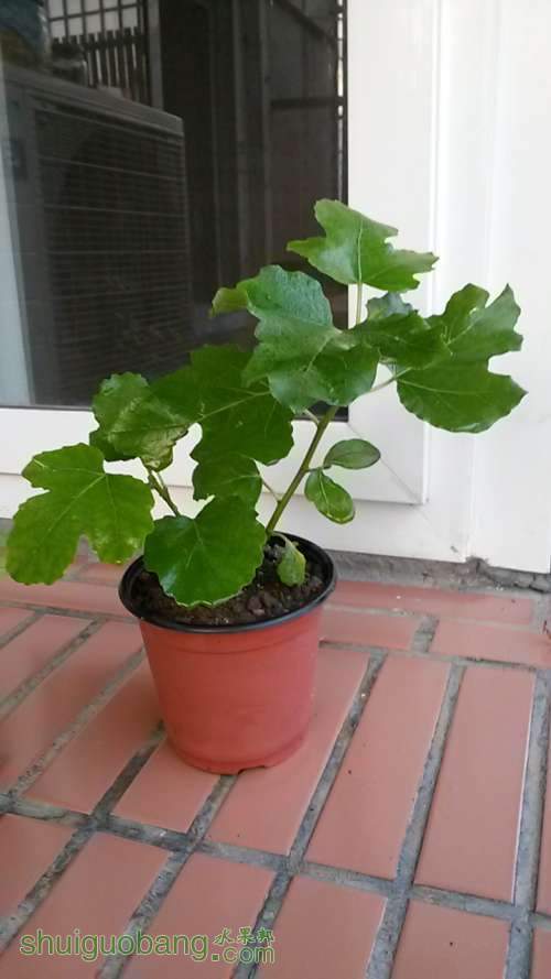 20140420_174808.jpg