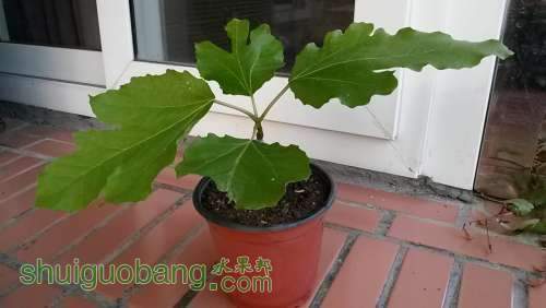 20140420_174958.jpg