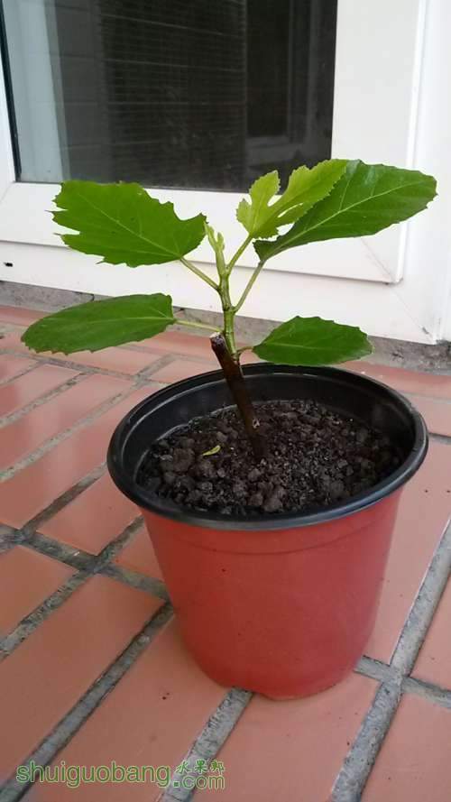 20140420_175502.jpg