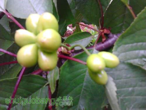 IMG_20140420_085218.jpg