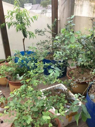 2014-04-19 134116.jpg