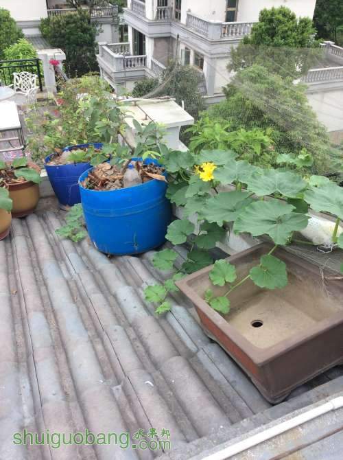 2014-04-20 090058.jpg