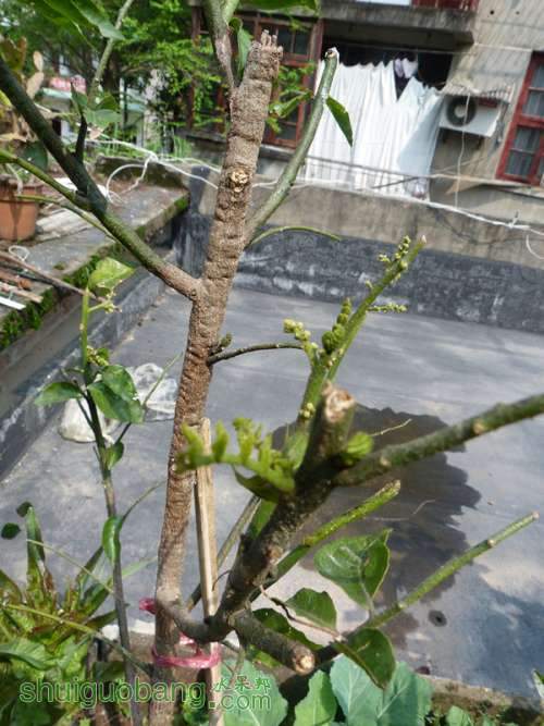 P1050251_.jpg