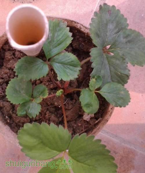 QQ��ͼ20140421104443.jpg