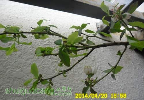 ǣ00001.jpg