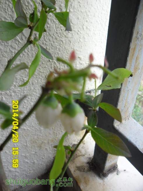 ǣ00002.jpg