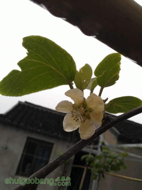WP_002296.jpg