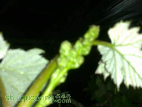 20140422008.jpg