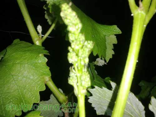 20140422007.jpg