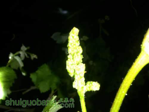 20140422006.jpg